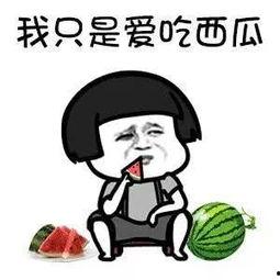 娱乐圈吃瓜须知