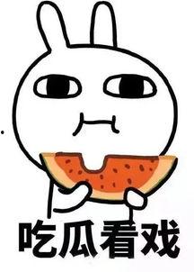 娱乐吃瓜酱谐音